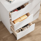 Bealife AP114 Commode à 1 porte et 3 tiroirs, anti-basculement et fermeture magnétique pour salle de bain, couloir et chambre